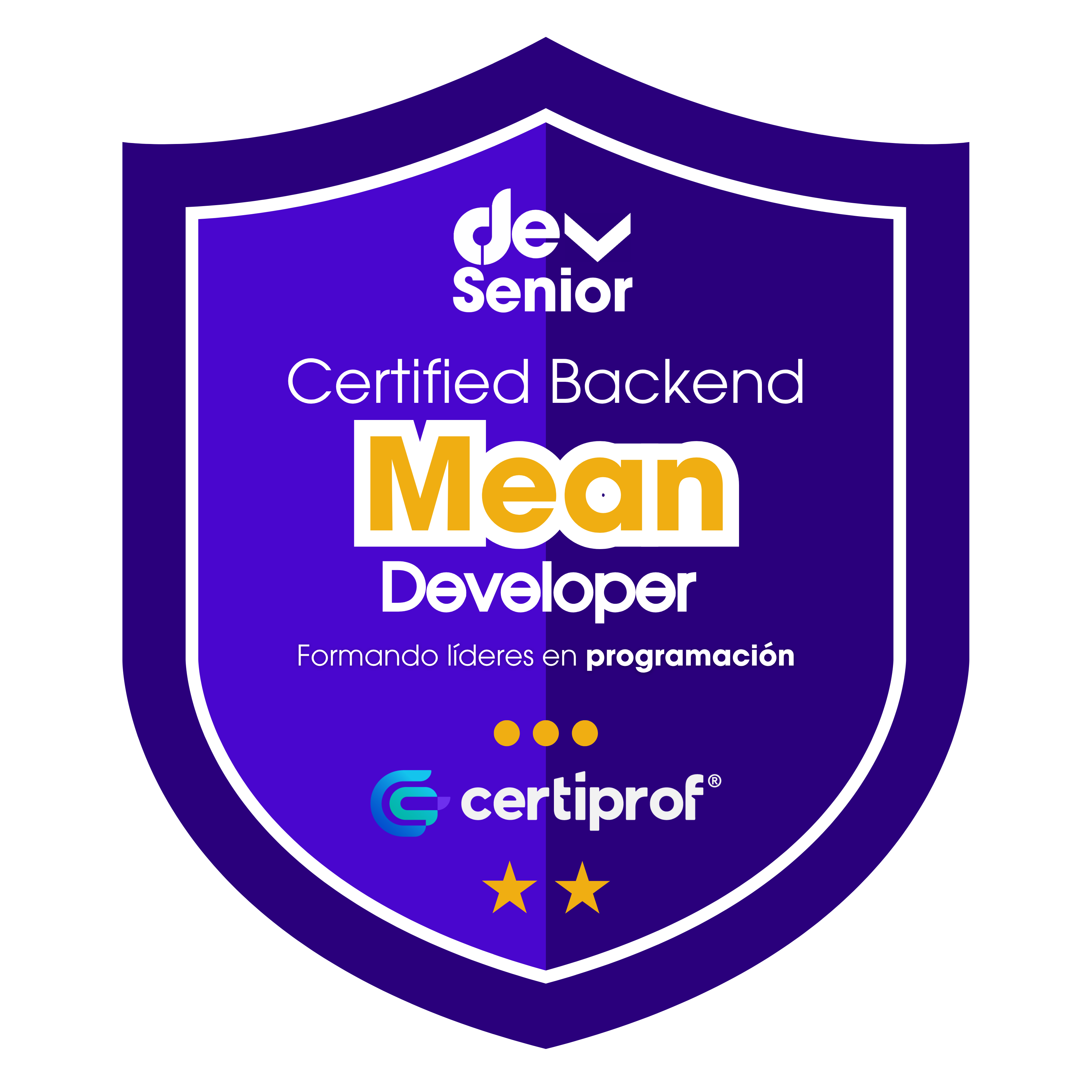 Insignia Backend MEAN Developer